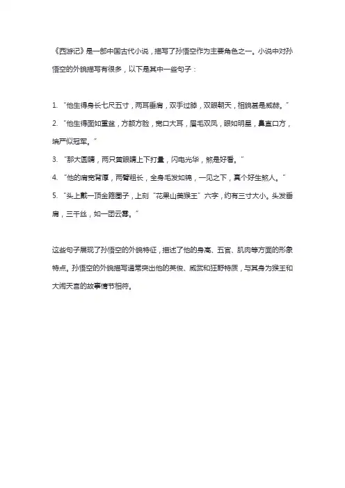 西游记描写孙悟空外貌的句子