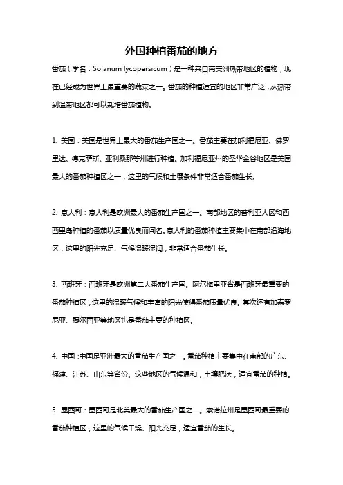外国种植番茄的地方