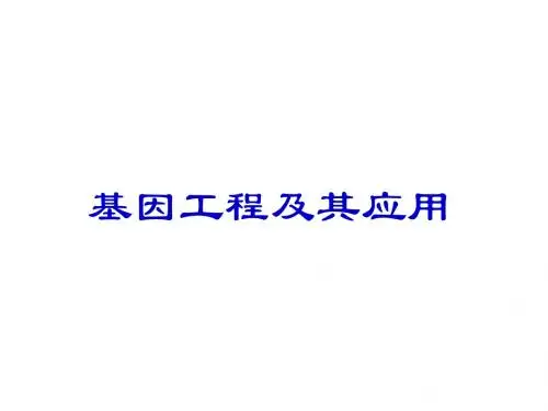 人教版高中生物必修二 基因工程及其应用   名师公开课省级获奖课件(36张)
