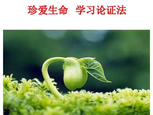 高考语文《论证》公开课 课件