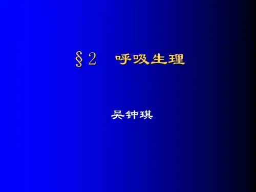 呼吸过程课件
