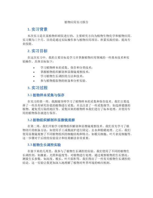 植物应用实习报告