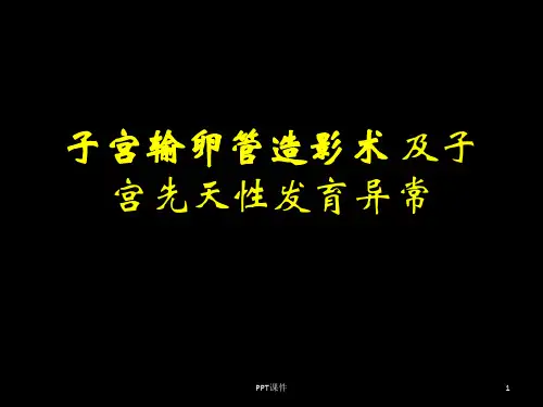 子宫输卵管造影及先天性发育异常  ppt课件