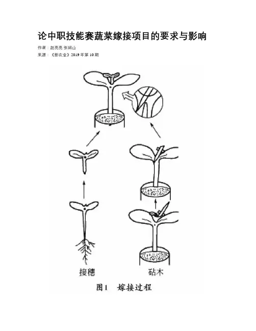 论中职技能赛蔬菜嫁接项目的要求与影响