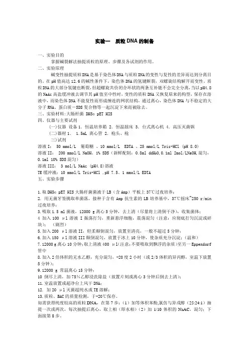 质粒DNA的提取实验一