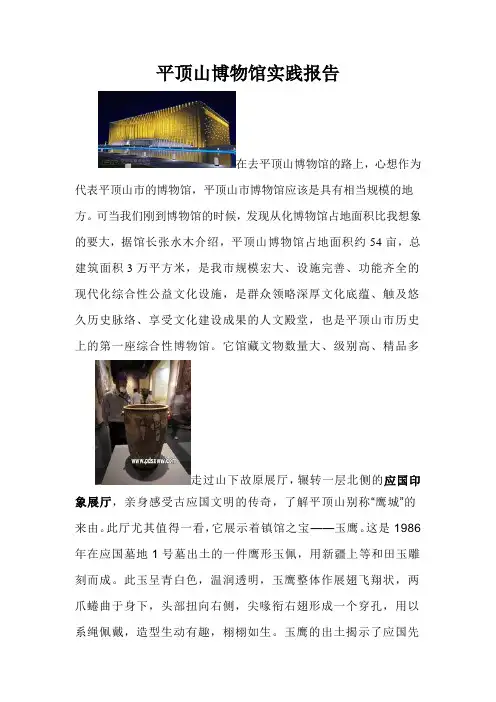 平顶山博物馆实践报告[1]