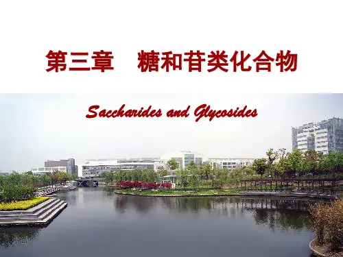 中药化学：3-糖和苷类化合物