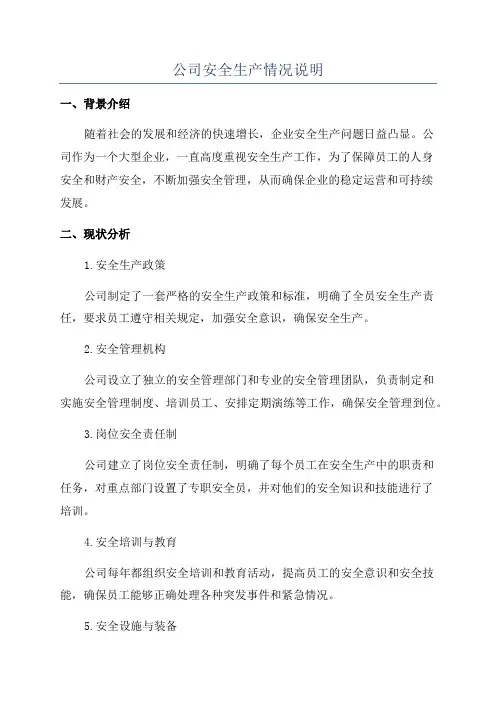 公司安全生产情况说明