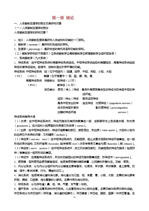 人体解剖笔记