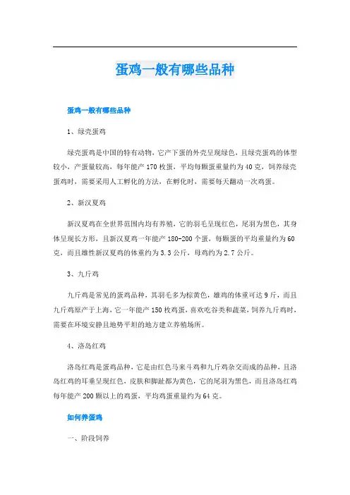 蛋鸡一般有哪些品种