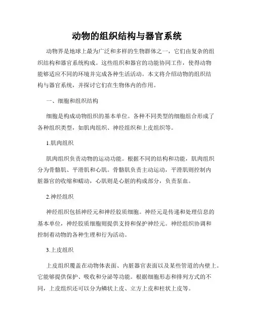 动物的组织结构与器官系统