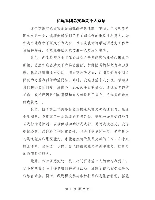 机电系团总支学期个人总结
