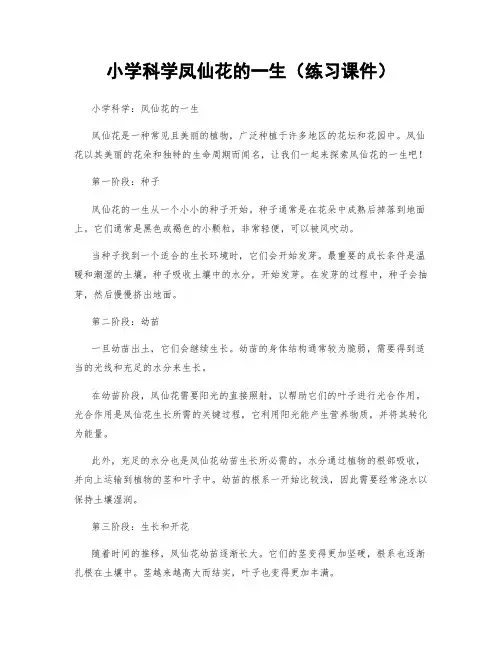 小学科学凤仙花的一生(练习课件)