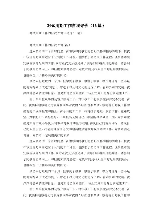 对试用期工作自我评价(13篇)