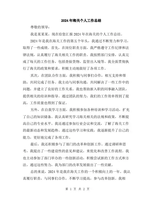 2024年海关个人工作总结