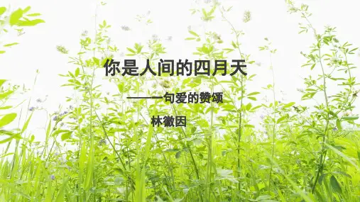 第4课你是人间的四月天ppt课件