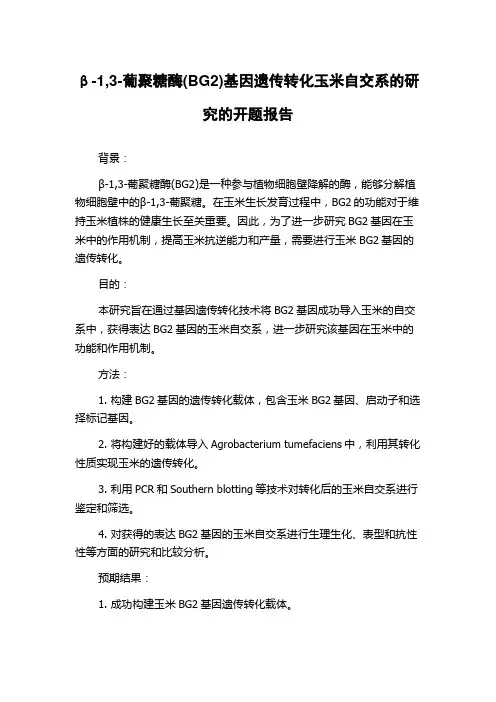 β-1,3-葡聚糖酶(BG2)基因遗传转化玉米自交系的研究的开题报告