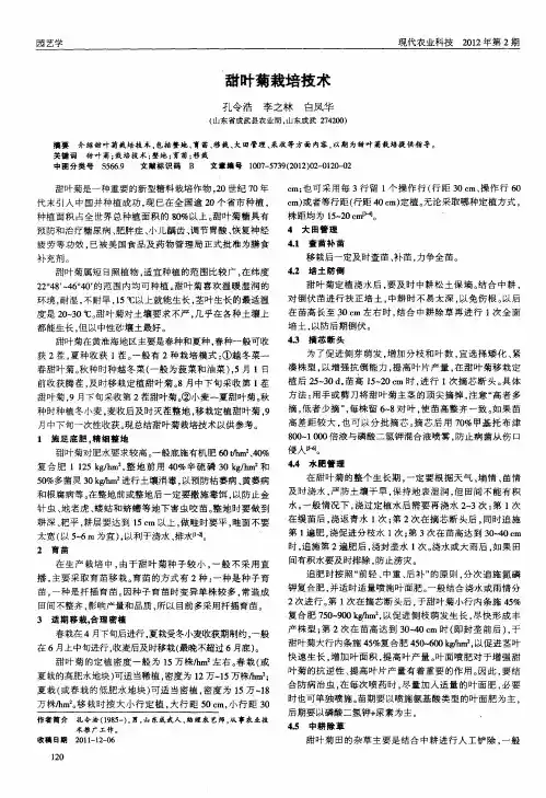 甜叶菊栽培技术