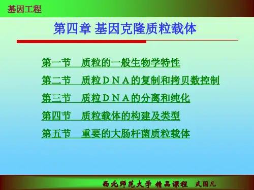 (1)高拷贝数的质粒载体 - 西北师范大学