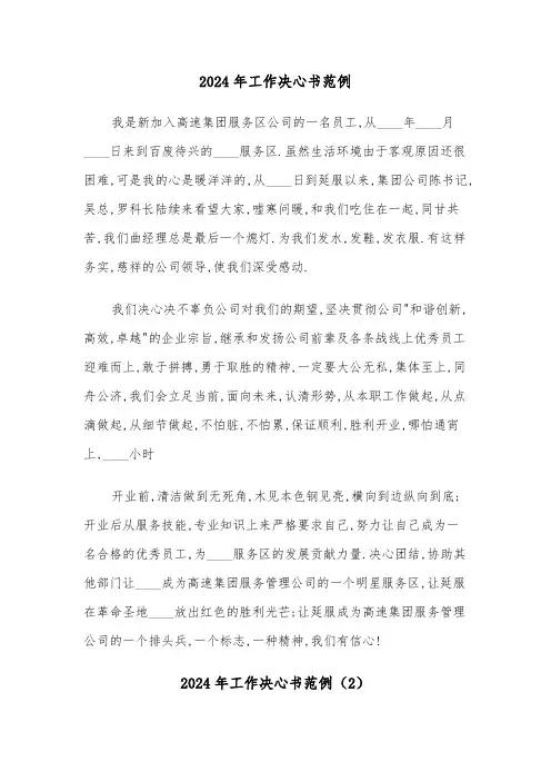 2024年工作决心书范例(4篇)