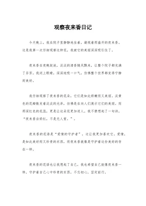 观察夜来香日记