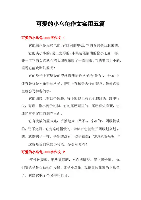 可爱的小乌龟作文实用五篇