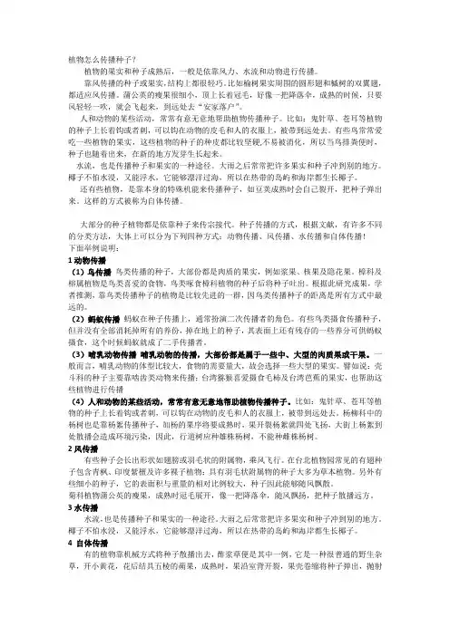 植物怎么传播种子