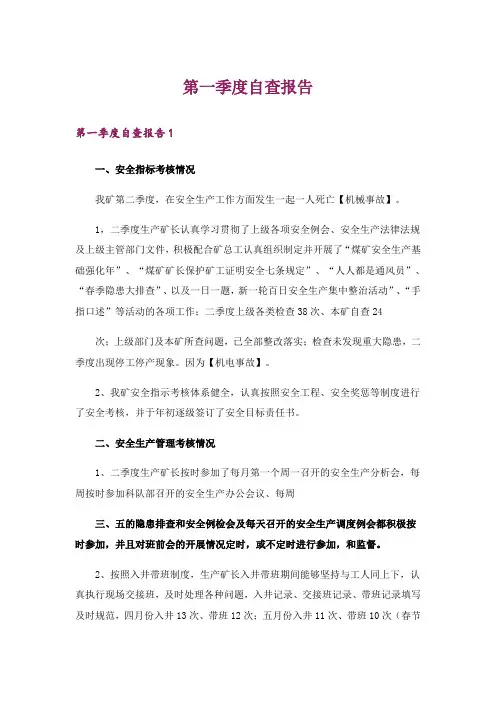 第一季度自查报告