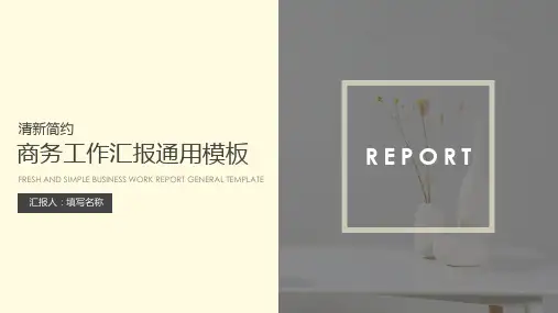 清新简约工作汇报通用模板