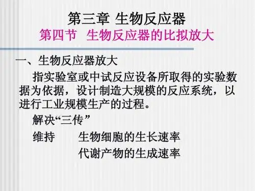 第三章第四节  生物反应器的比拟放
