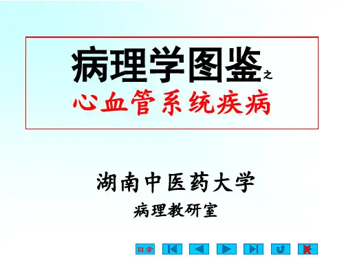 05.心血管系统疾病