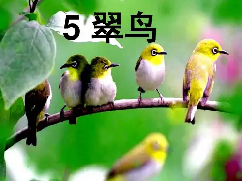 三年级下册语文课件-5.翠鸟｜人教新课标 (共30张PPT)