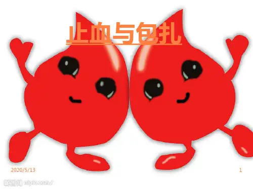 止血与包扎PPT课件