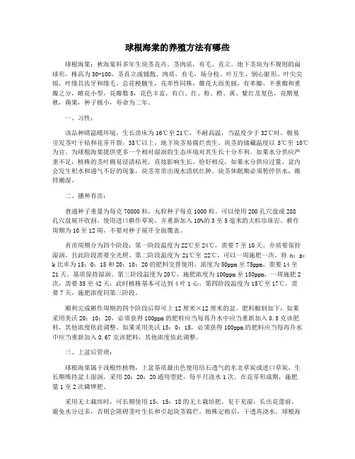 球根海棠的养殖方法有哪些
