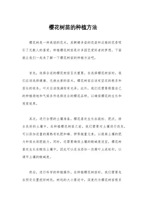 樱花树苗的种植方法