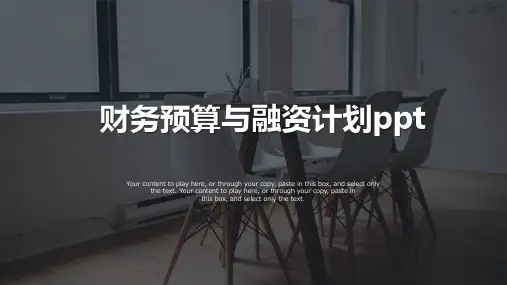 财务预算与融资计划ppt