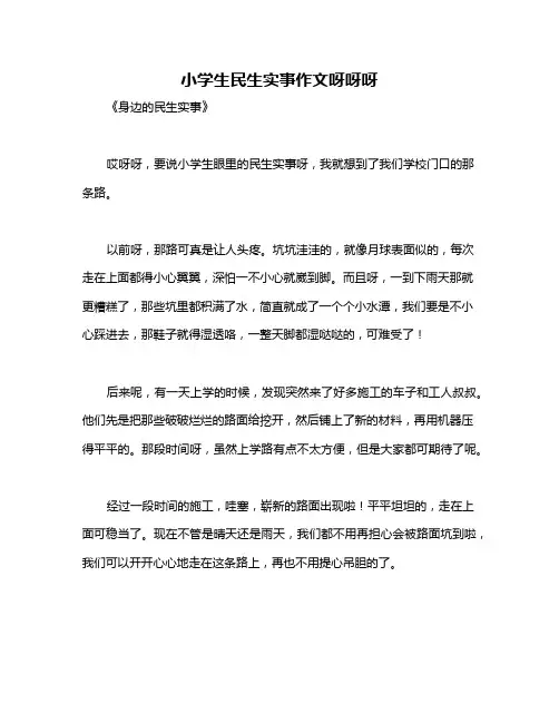小学生民生实事作文呀呀呀