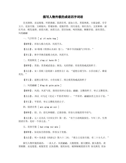 描写人物外貌的成语四字词语