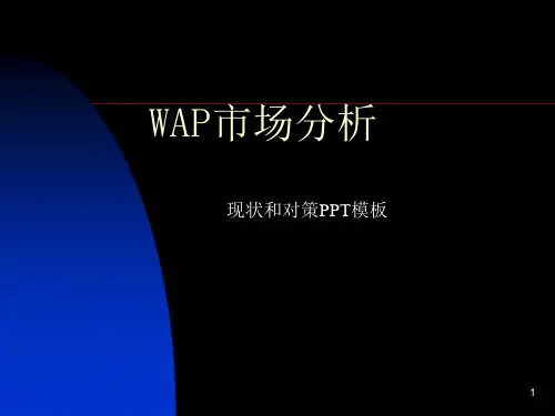 WAP市场分析现状和对策PPT模板