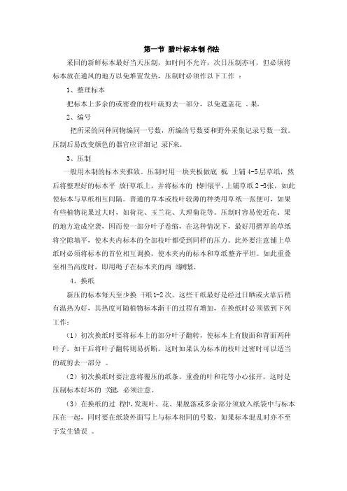 植物标本制作教案