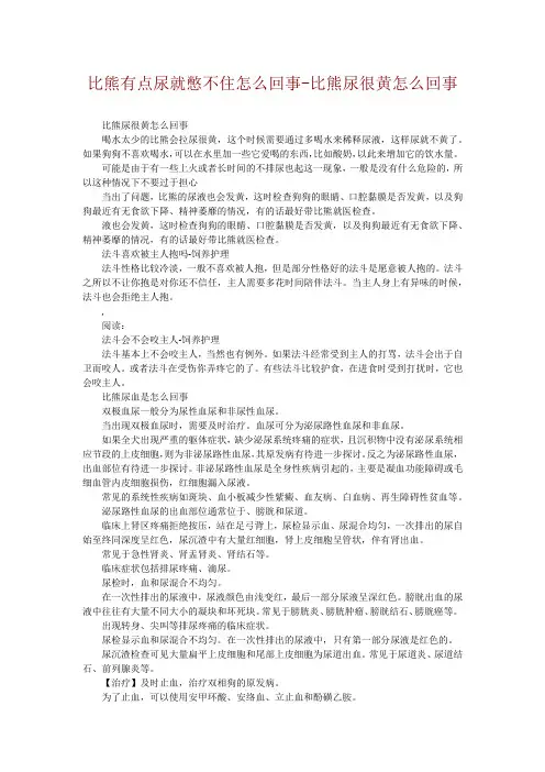 比熊有点尿就憋不住怎么回事-比熊尿很黄怎么回事