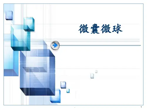 微囊微球PPT课件