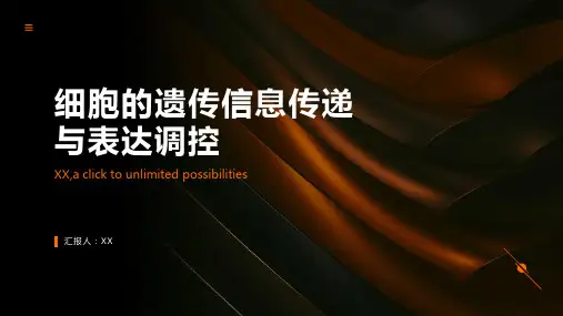 细胞的遗传信息传递与表达调控