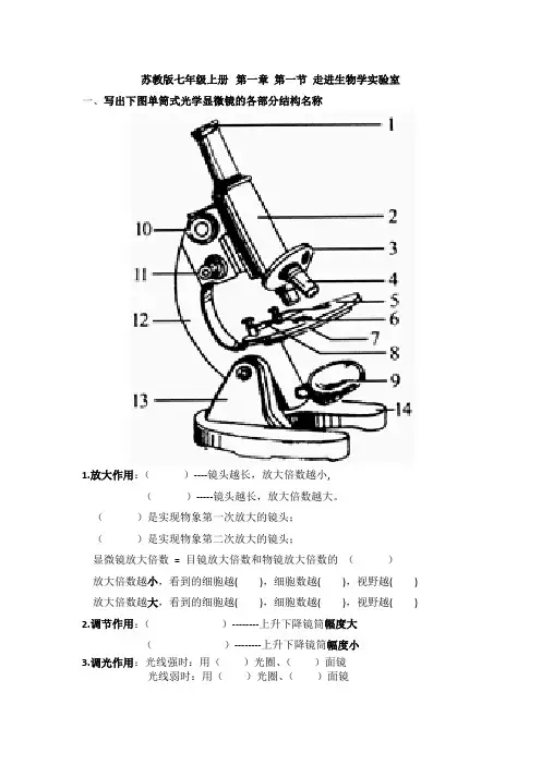 走进生物学实验室++知识清单-2024-2025学年苏教版生物七年级上册
