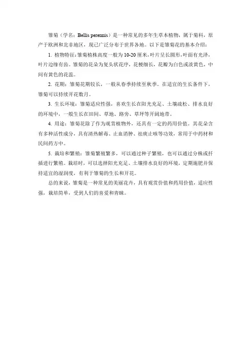 雏菊花的基本介绍