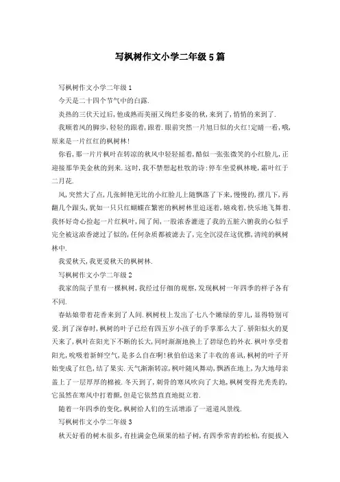 写枫树作文小学二年级5篇