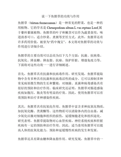 说一下鱼腥草的功效与作用