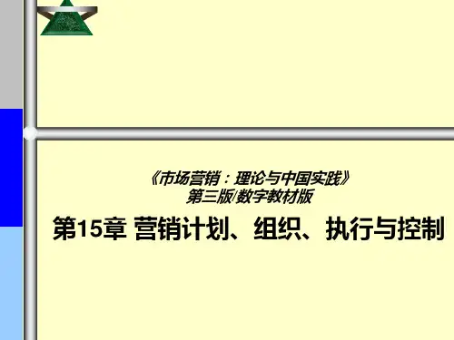 《市场营销：理论与中国实践》(第3版数字教材版)第15章 营销计划、组织、执行与控制