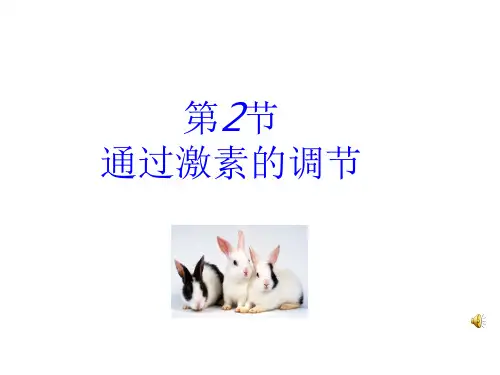 【人教版】高中生物必修三《2.2 通过激素的调节》课件