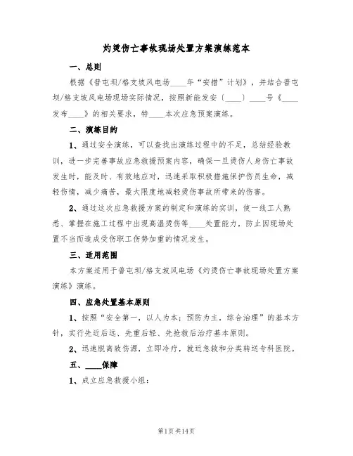 灼烫伤亡事故现场处置方案演练范本(2篇)
